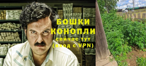 дмт Гусев