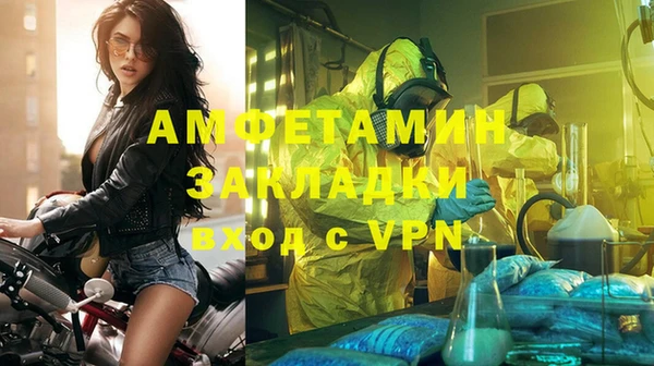 дмт Гусев