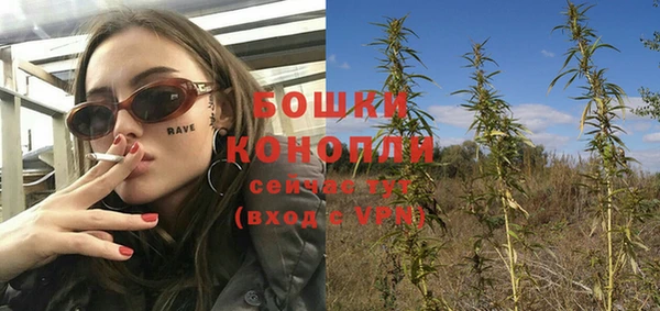дмт Гусев