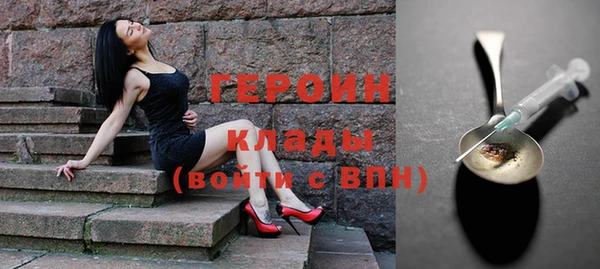 дмт Гусев