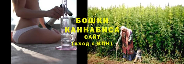 твердый Гусь-Хрустальный