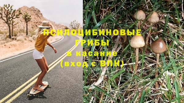 твердый Гусь-Хрустальный