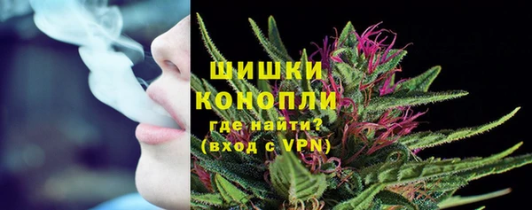 дмт Гусев