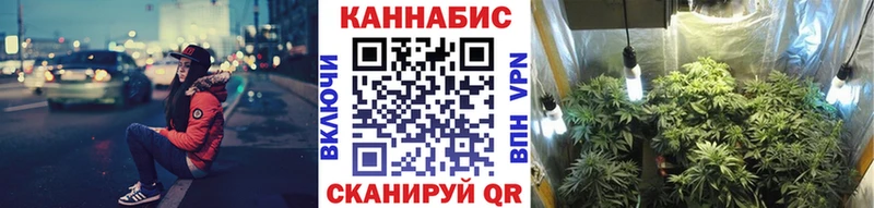 Купить закладки  Темников  Бошки Шишки OG Kush 